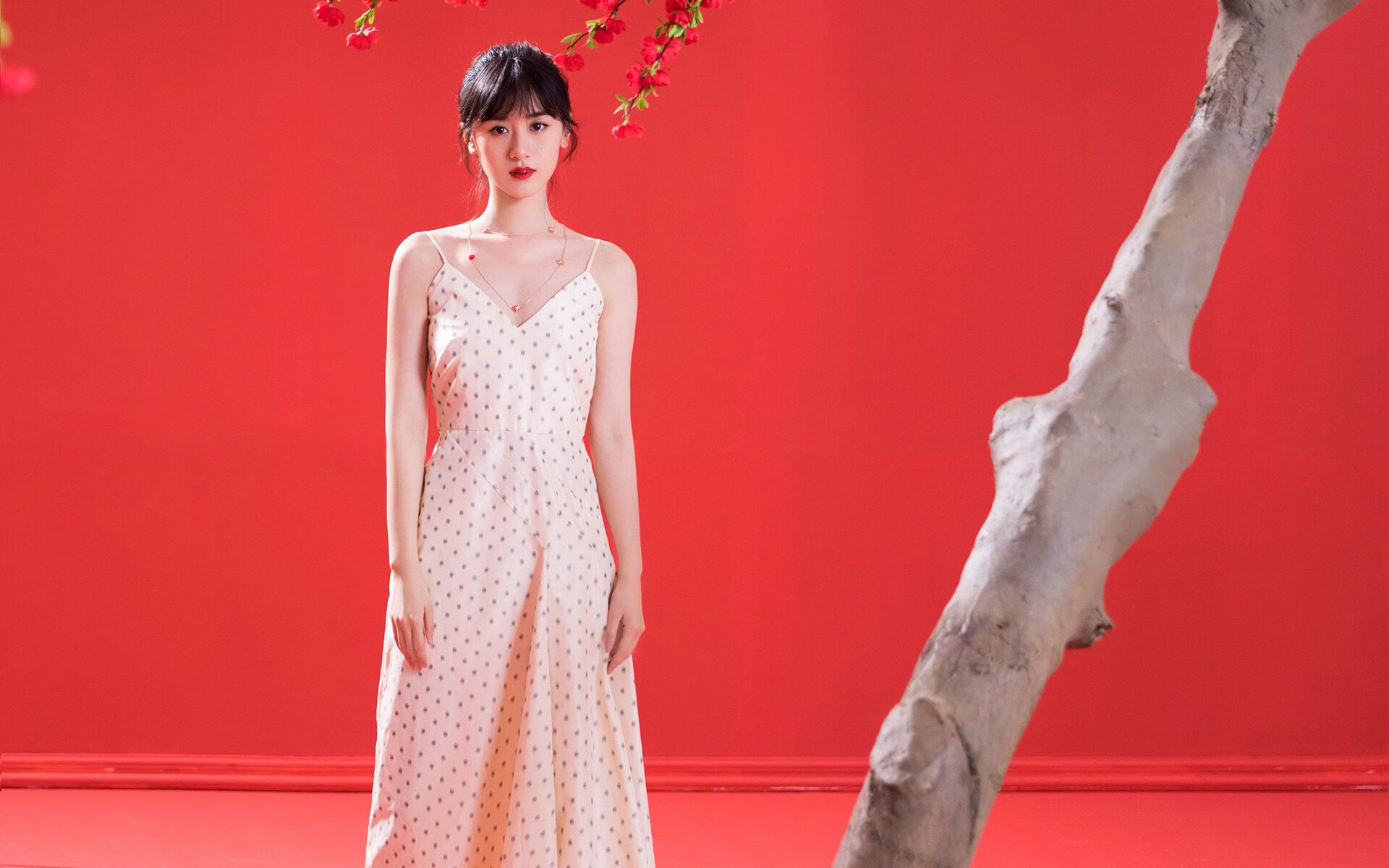 CBA球队为何缺乏长线技战术规划