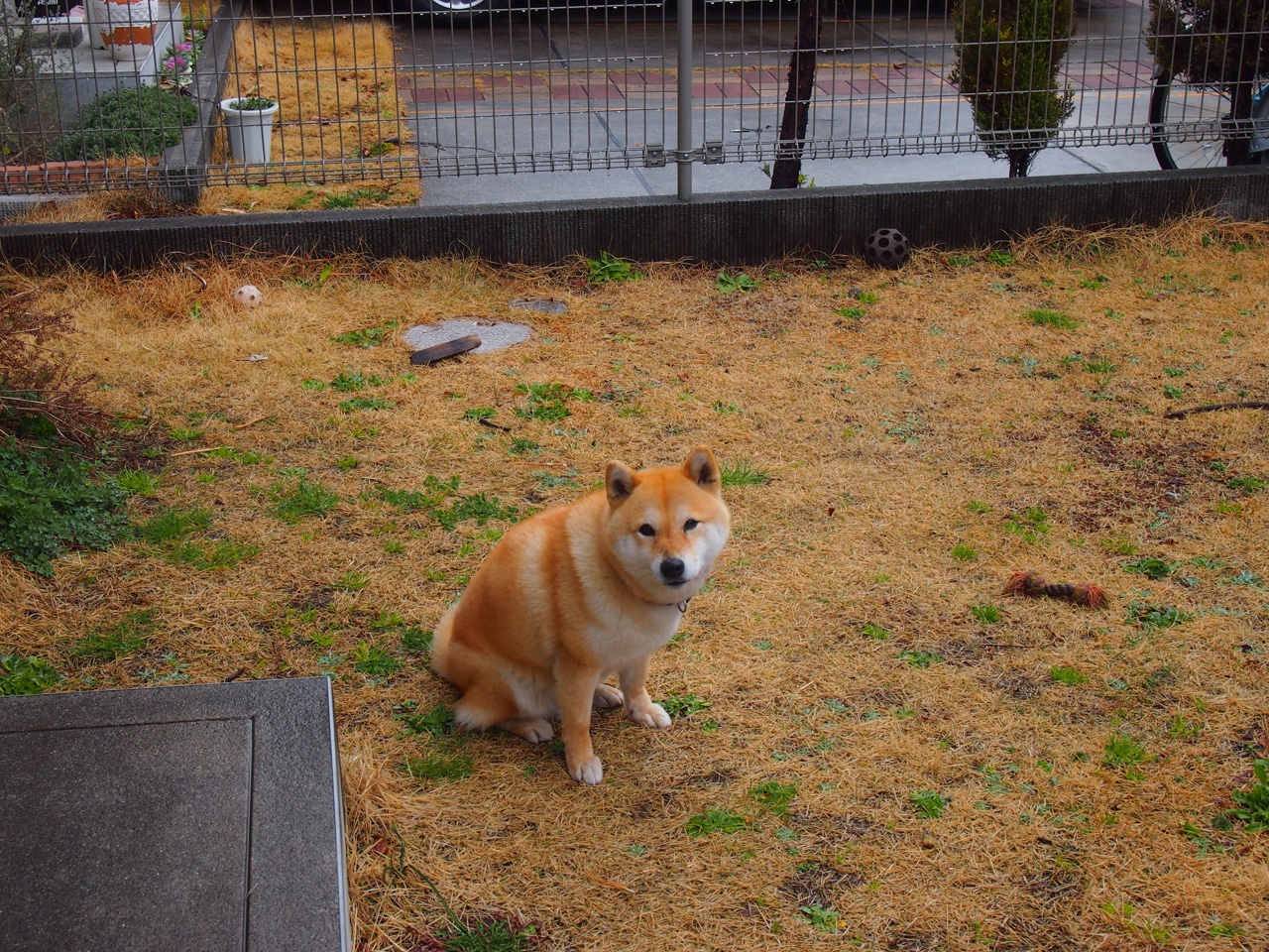 瑞典乒乓战术:如何用细腻技术击败对手,瑞典乒乓球巅峰时期