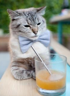 中国男篮强化防守体系 提升比赛竞争力,中国男篮防守好的球员