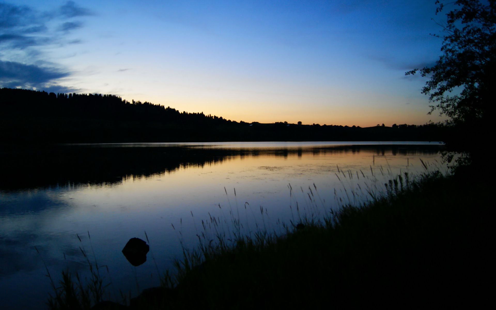 职业联赛球员媒体言论未建立约束模型,职业联赛球员媒体言论未建立约束模型的原因